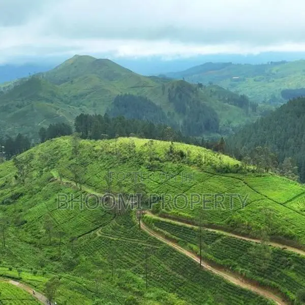 හැටන් – වටවල දර්ශනීය කඳුකර ඉඩම් විකිණීමට