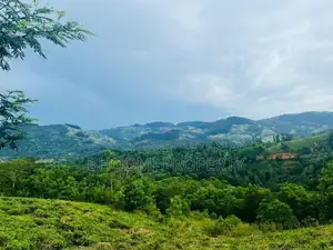 Scenic Mountain View Land for Sale – Doluwa, Kandy