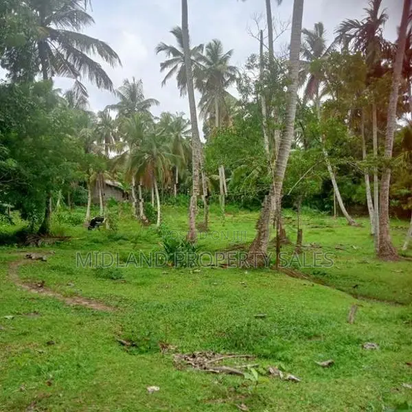 විගඩ බෙම්මුල්ලෙන් ඉතා සරුසාර පොල් ඉඩමක්