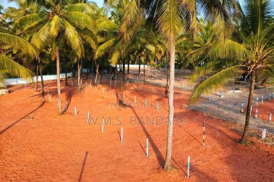 Valuable Land for Sale in Melsiripura R01