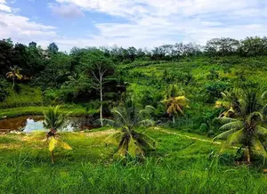 14-Acre Prime Land for Sale near Karapitiya, Galle
