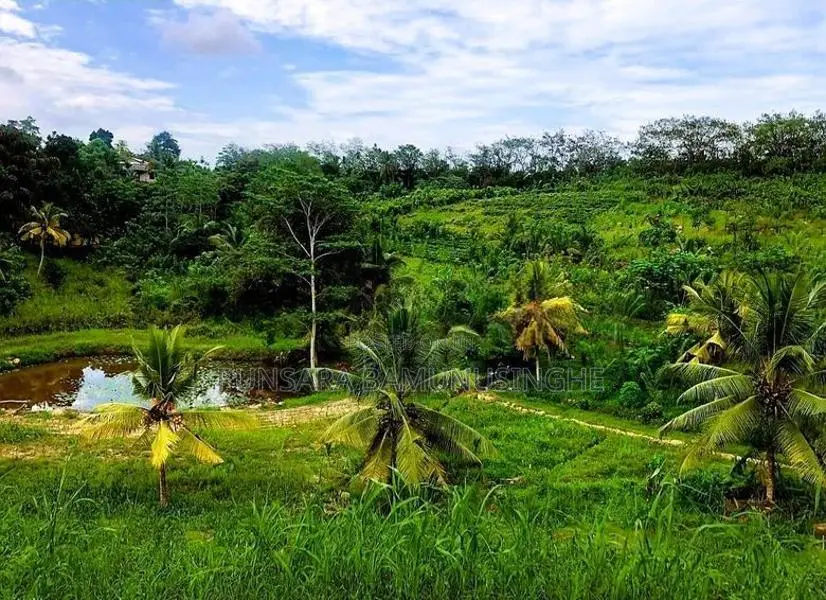 14-Acre Prime Land for Sale near Karapitiya, Galle