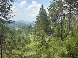 ඇල්ල නගරයට ලගින්ම බිම් කොටස්