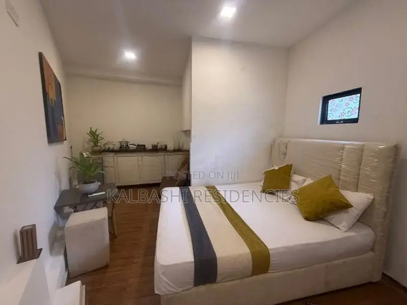 Fully Furnished Studio Apartment for Rent Pitakotte