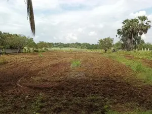 உறுதி காணி வற்பனைக்கு வ்வுனியா