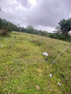 Land for Sale Nawaladi