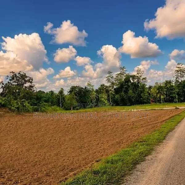 Best Land for Sale in Nawagamuwa
