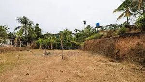 රාගමෙන් වටිනා බිම් කොටස් 2ක් විකිණීමට / ER 11238