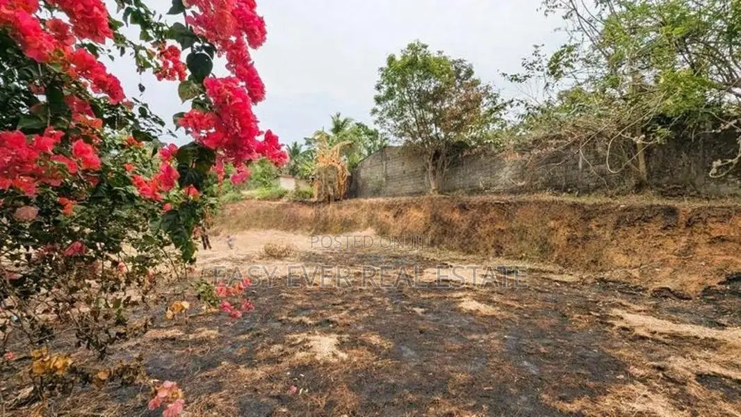 රාගමෙන් වටිනා බිම් කොටස් 2ක් විකිණීමට / ER 11238