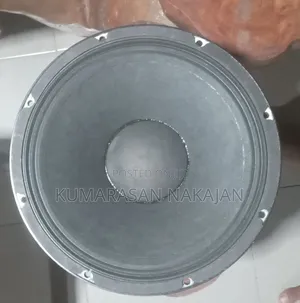 12" Speaker