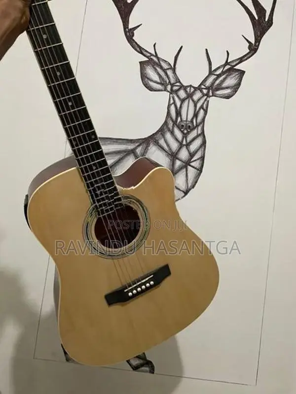 Guitar