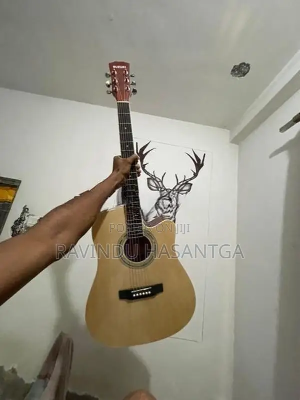 Guitar