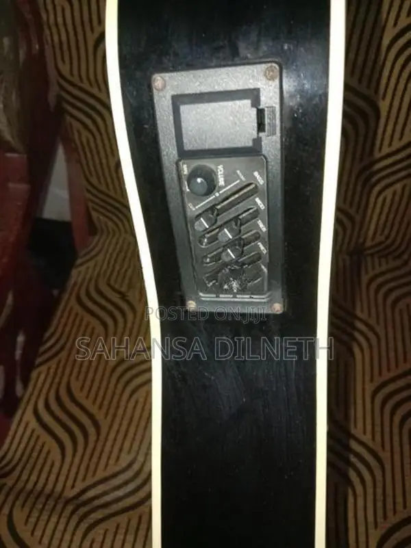 Guitar