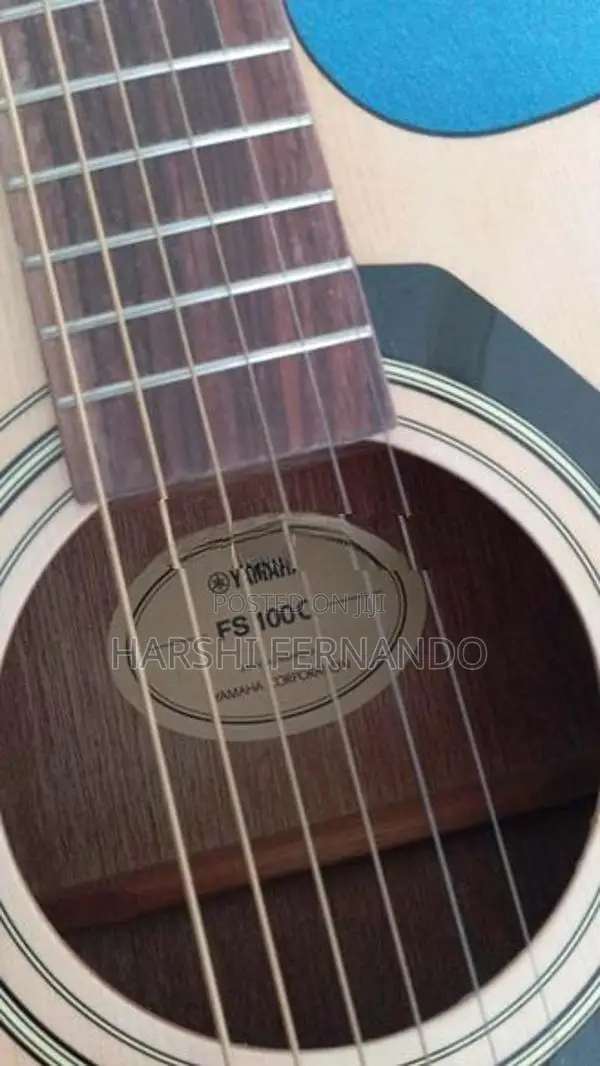 Guitar