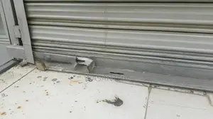 Roller Door Gate