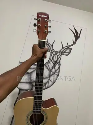 Guitar