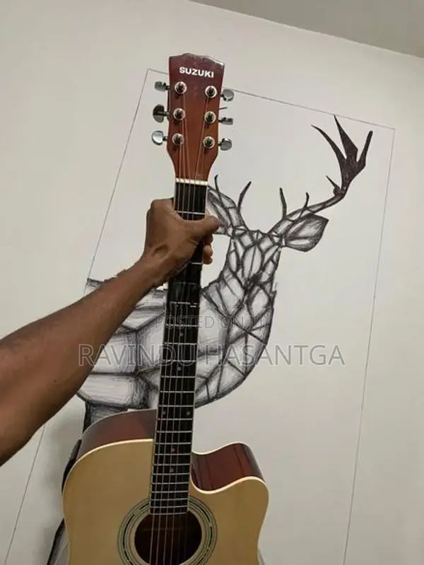 Guitar