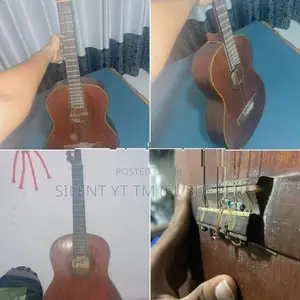 Guitar