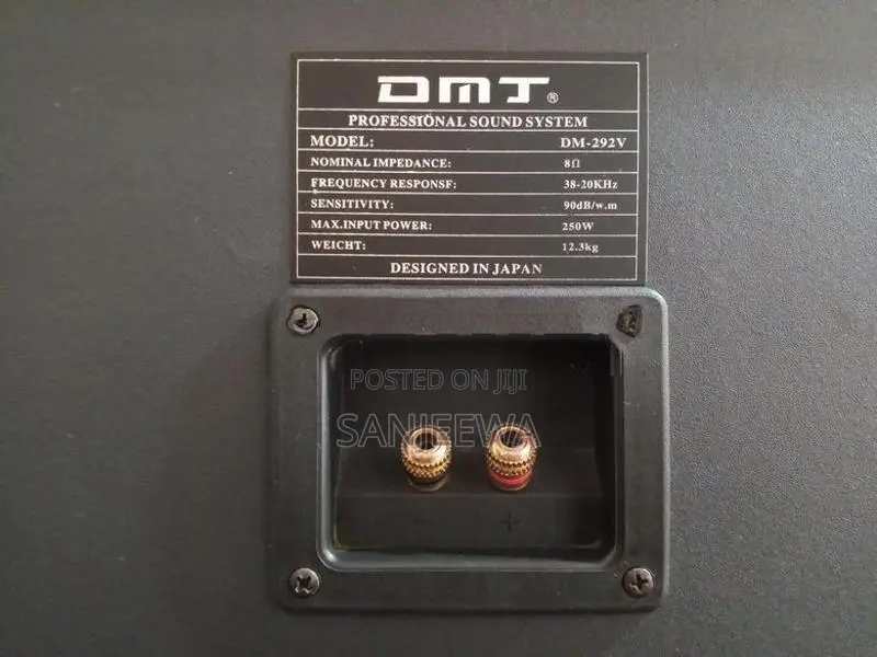 Japan DMT Professional Monitor Speakers (DM-292V) - 250W
