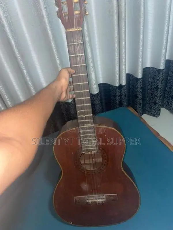 Guitar