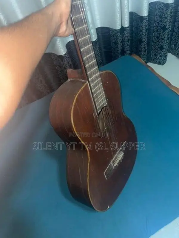 Guitar