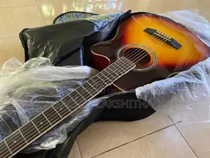 brand new robinson guiter