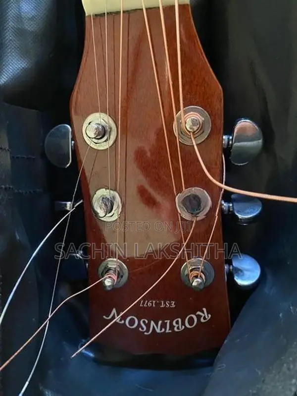 brand new robinson guiter