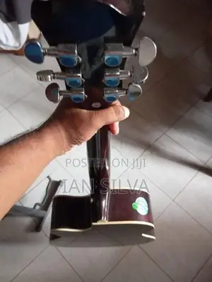 Kadence Guitar