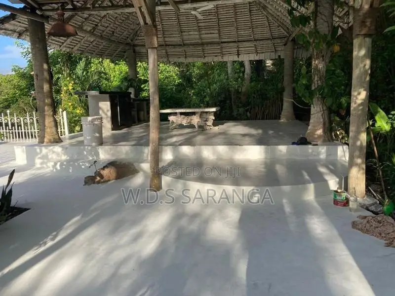 පොළව සහ බිත්ති ටයිටේනියම් කෝටින් කිරීම වර්ග අඩියක් රු. 220 සිට