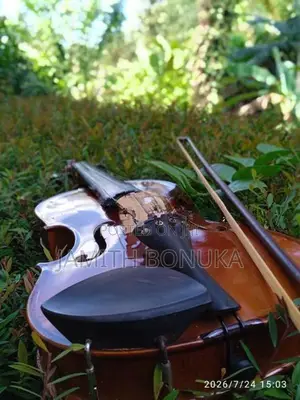 Violin