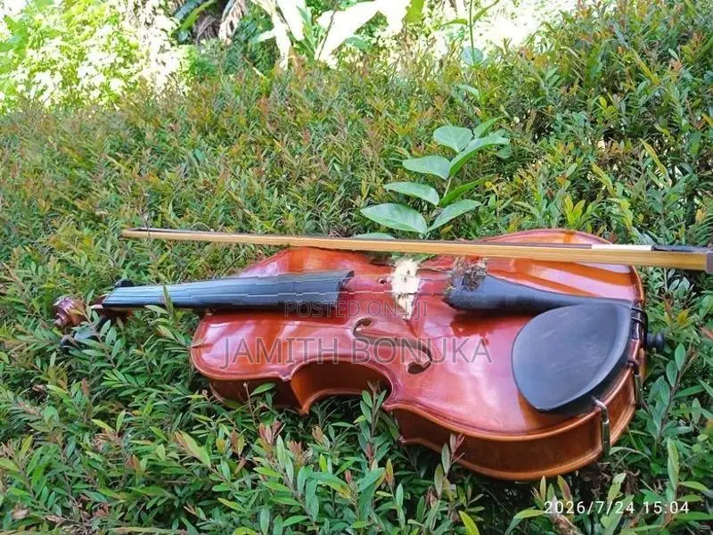 Violin