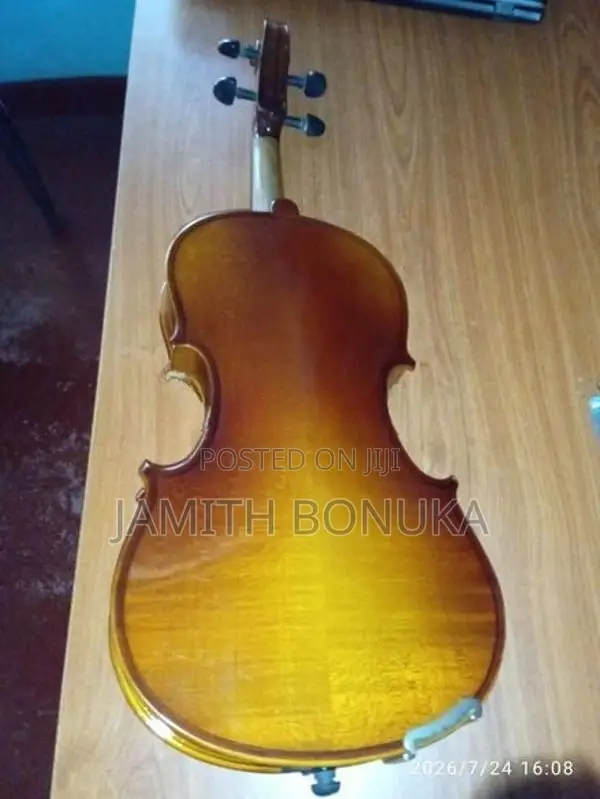 Violin