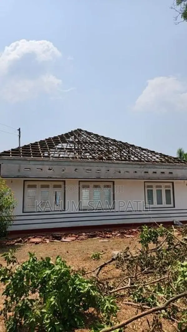 Building Material Lot
