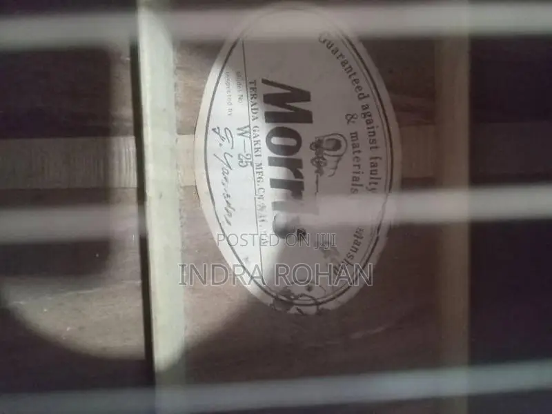 Morris W25 Guitar