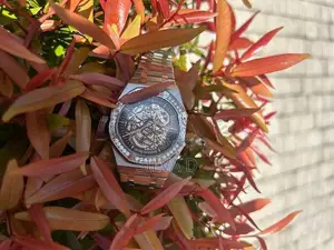 Audemars Piguet Watch
