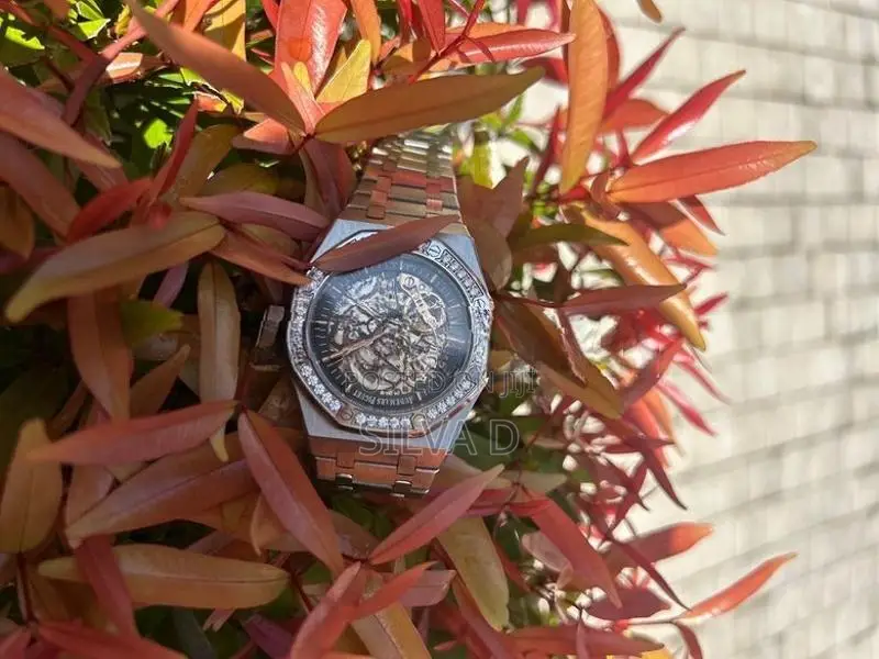 Audemars Piguet Watch