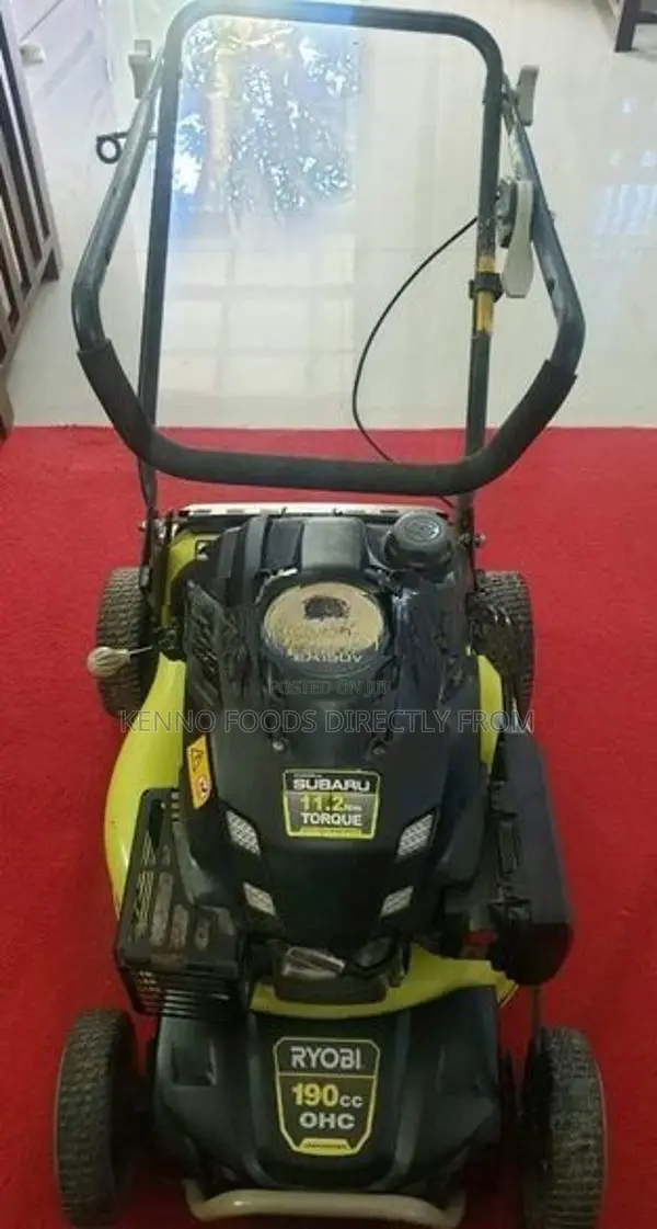 Riyobi EA190b lawnmower