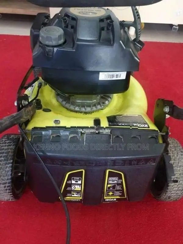 Riyobi EA190b lawnmower
