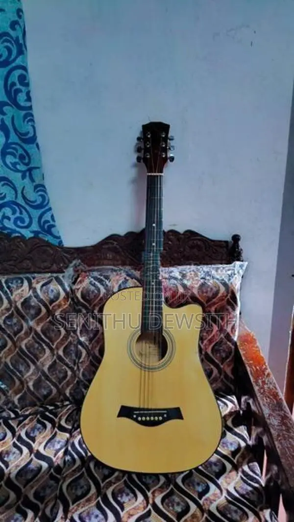 Guitar