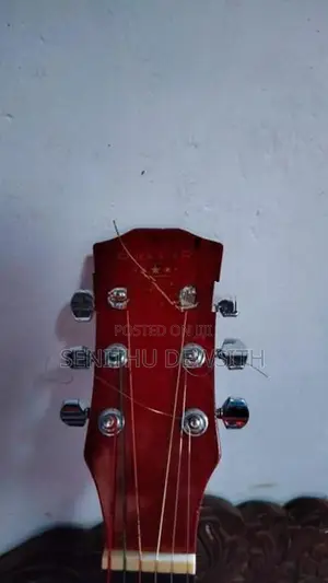 Guitar