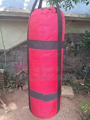 Punching Bag