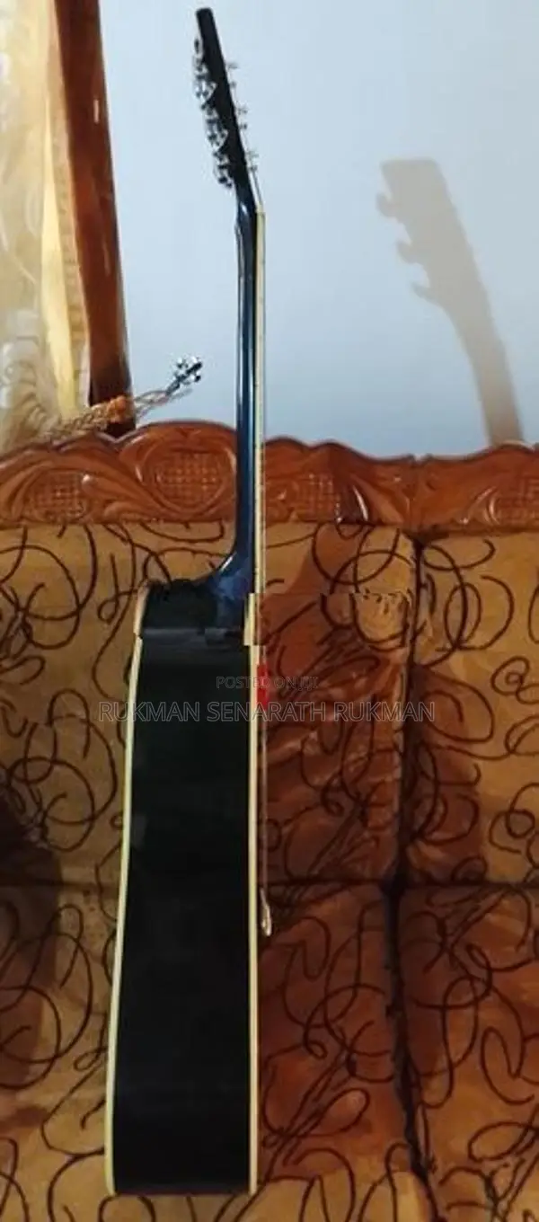 Guitar
