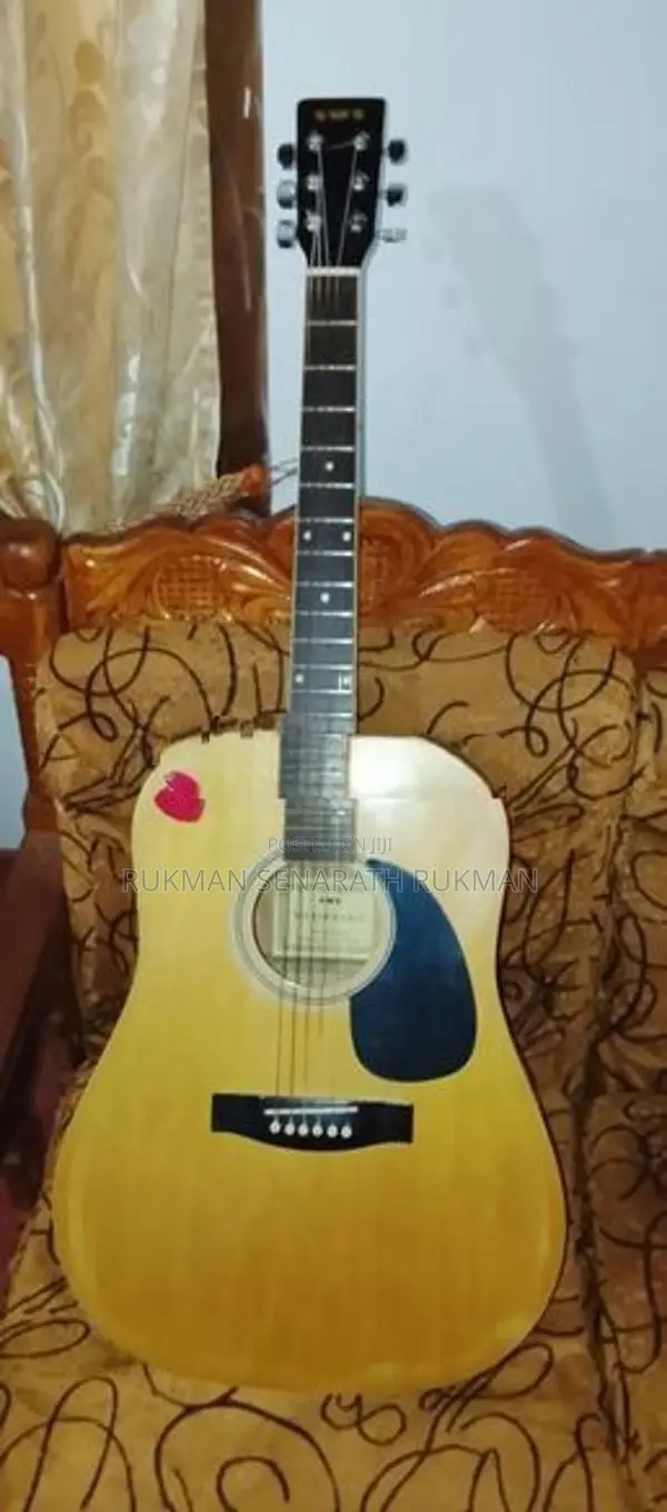 Guitar