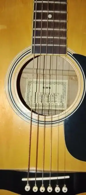 Guitar