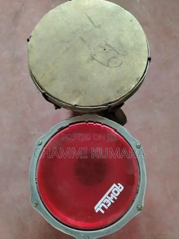 Dardak Bongo