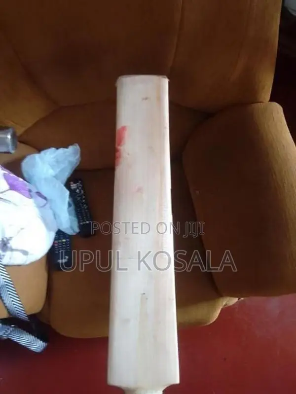 Cricket Bat