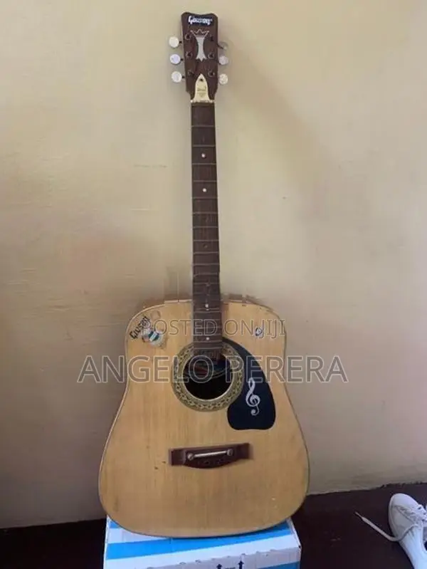 Guitar