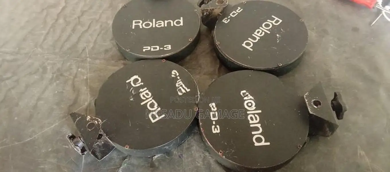 Roland Pd-3