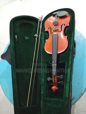 Violin
