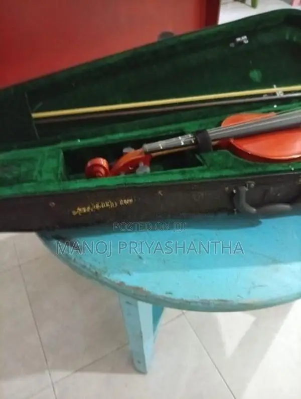 Violin